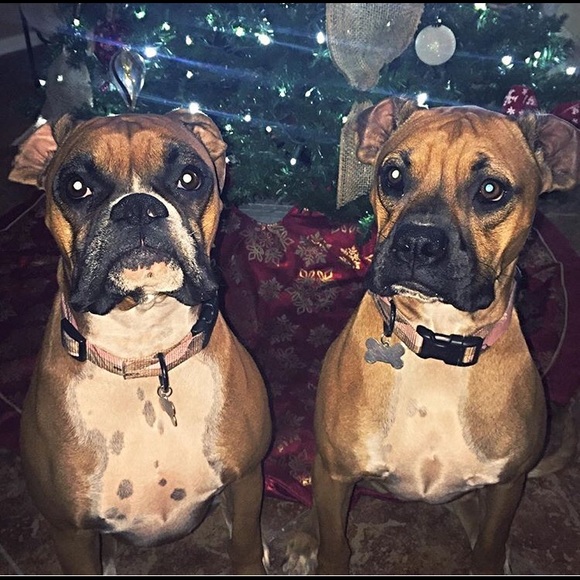 Meet your Posher, Mikaylah - Picture 2 of 2